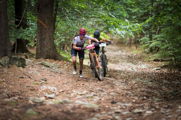 Malevil Cup by Author 2019