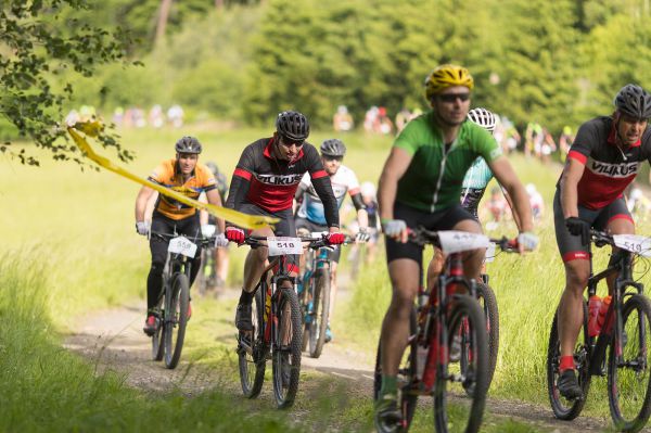 Malevil Cup by Author 2019