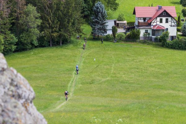 Malevil Cup by Author 2019