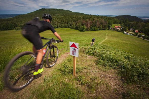 Malevil Cup by Author 2019