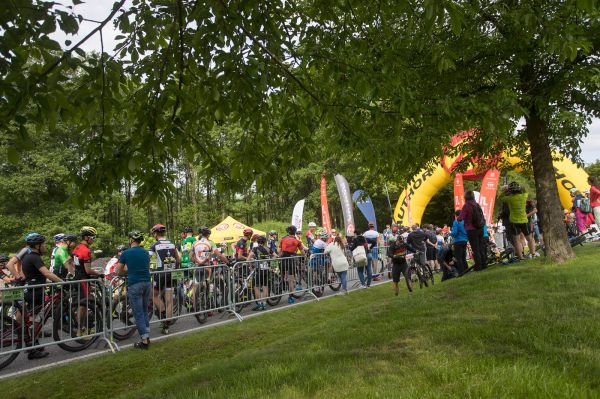 Malevil Cup by Author 2019