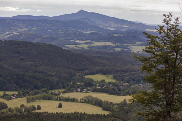 Malevil Cup by Author 2019