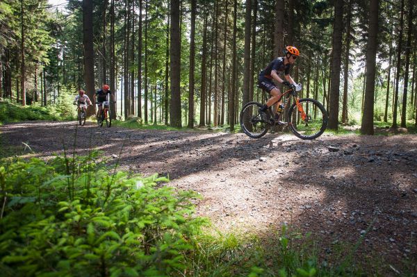 Malevil Cup by Author 2019