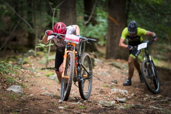 Malevil Cup by Author 2019