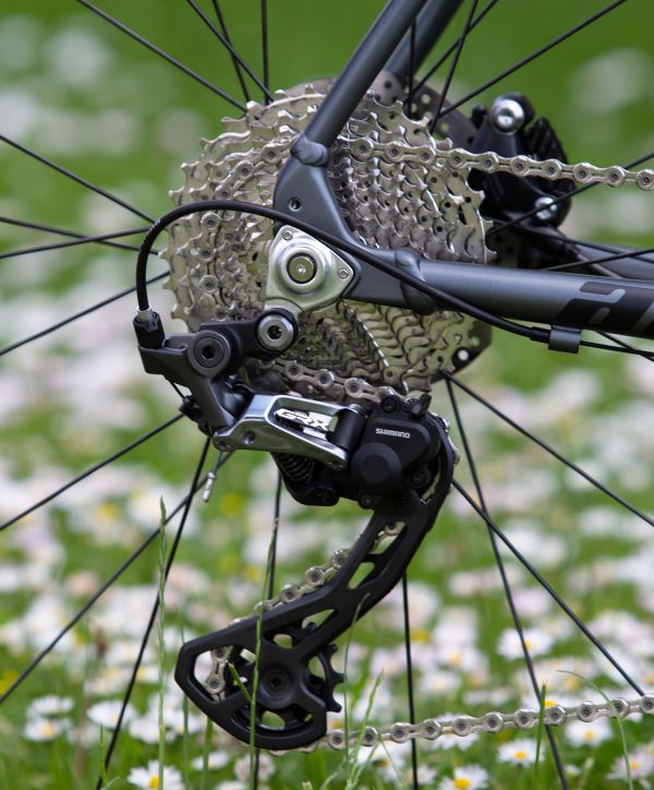 Author 2020 - Čejkovice