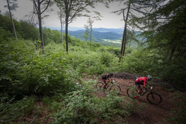 Malevil Cup by Author 2019