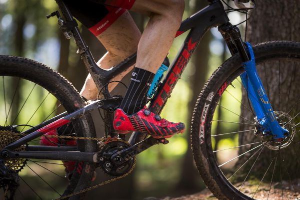 Malevil Cup by Author 2019