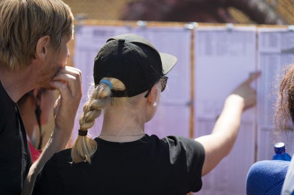 Malevil Cup by Author 2019