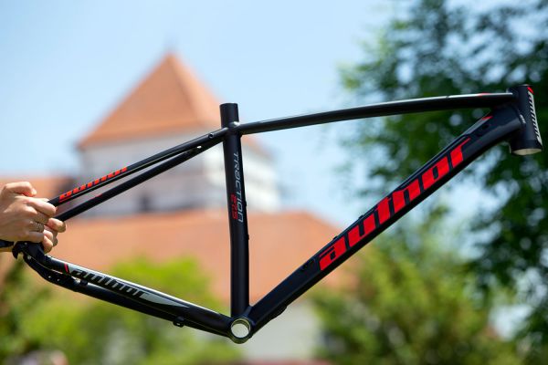 Author 2020 - Čejkovice