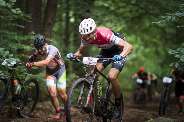 Malevil Cup by Author 2019