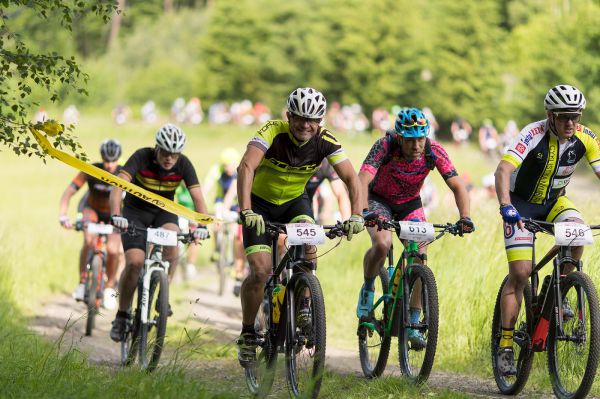 Malevil Cup by Author 2019