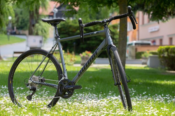 Author 2020 - Čejkovice