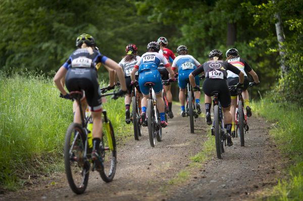 Malevil Cup by Author 2019