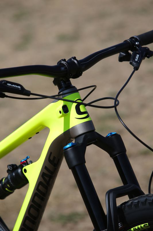 Cannondale Jekyll 29 3