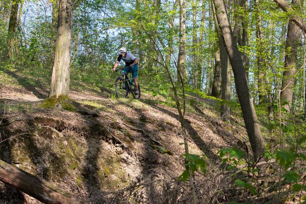 Canyon Neuron CF 9.0 LTD