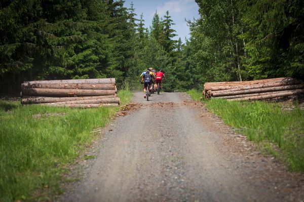 Kolo pro život pokračovalo letním závodem v Karlových Varech