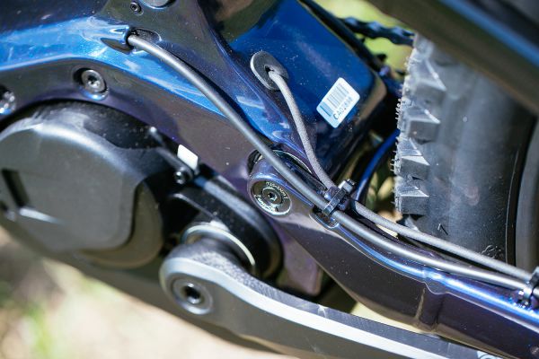 Cannondale Habit Neo & Moterra 2020