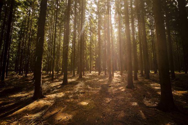 Kolo pro život 2019 - #8 Trans Brdy