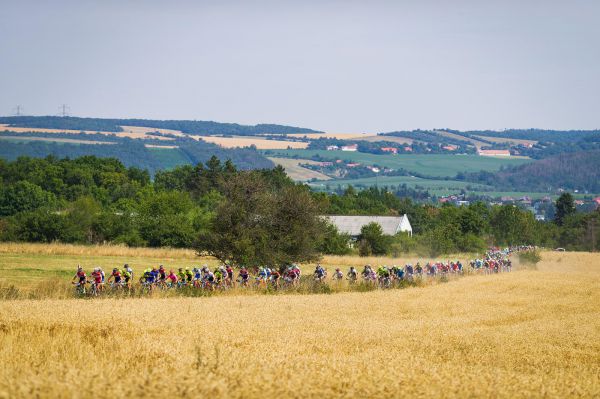 Kolo pro život 2019 - #8 Trans Brdy