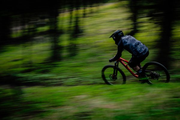 Rocky Mountain Slayer 2020