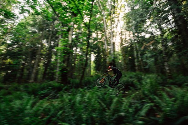 Rocky Mountain Slayer 2020