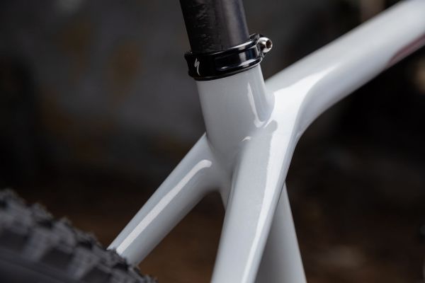 Specialized Epic HT 2020