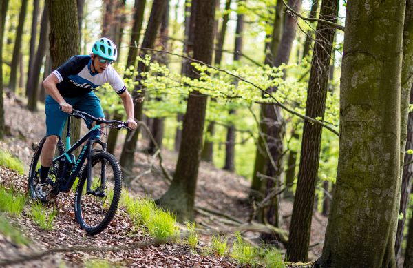 Canyon Strive CF 6.0