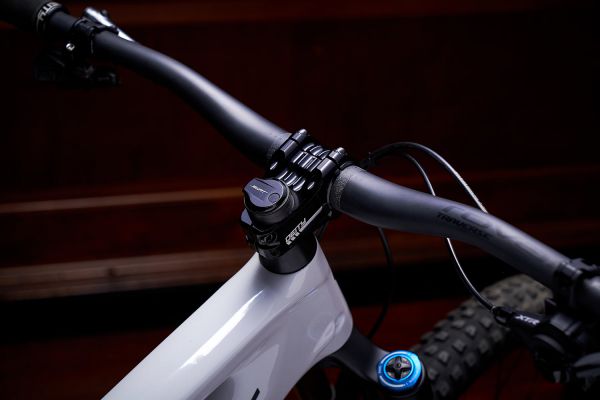 Specialized Enduro 2020