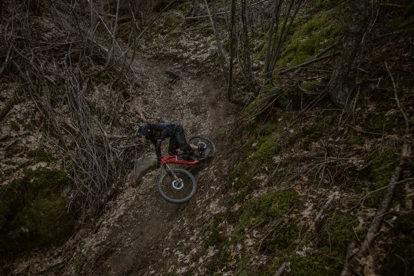 Rocky Mountain Slayer 2020