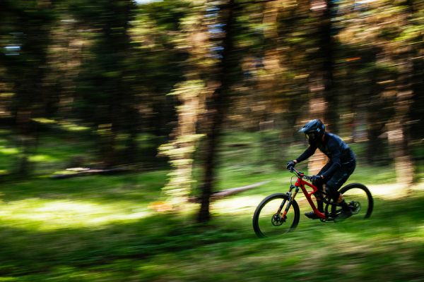 Rocky Mountain Slayer 2020