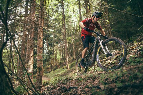 Cannondale Habit NEO Jerome Clementze