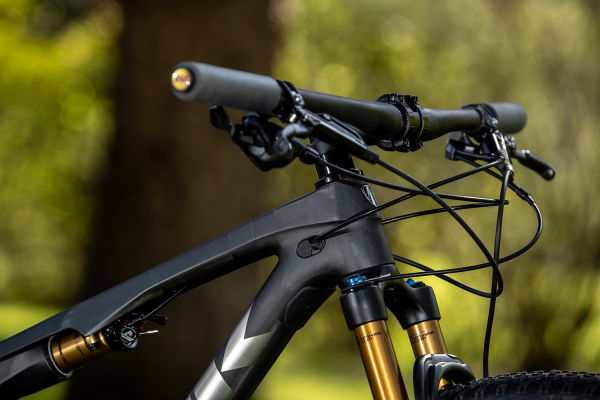 Trek Supercaliber 2020