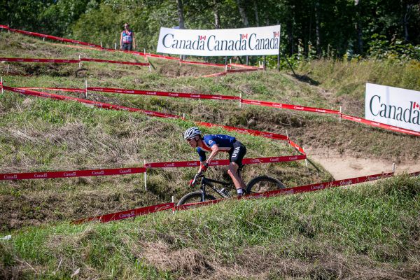 MS 2019 - tentokrát cikcak dolů...