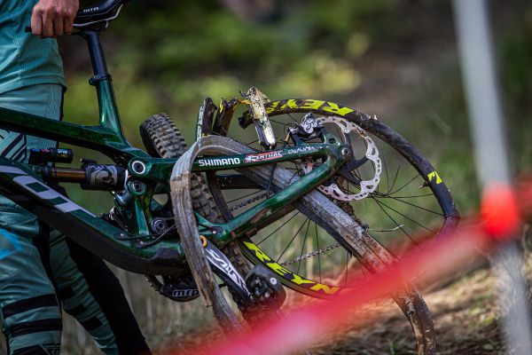 Mistrovství světa DHI 2019