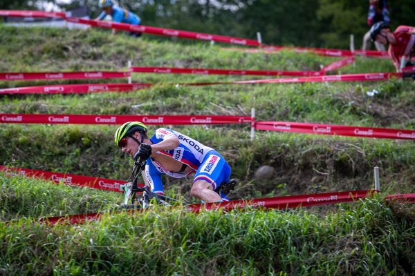 MS 2019 - David Šulc