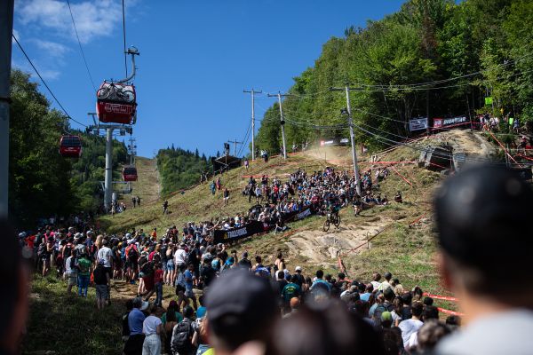 Mistrovství světa DHI 2019