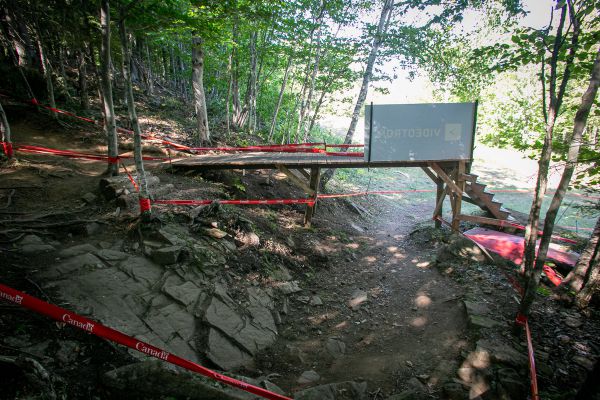 MS 2019 - je libo A-line nebo B-line?