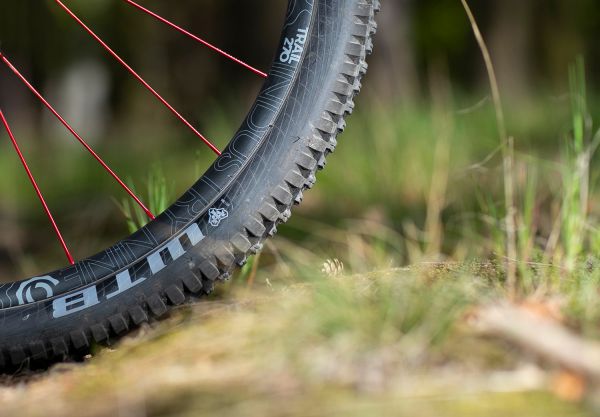 Marin Wolf Ridge PRO