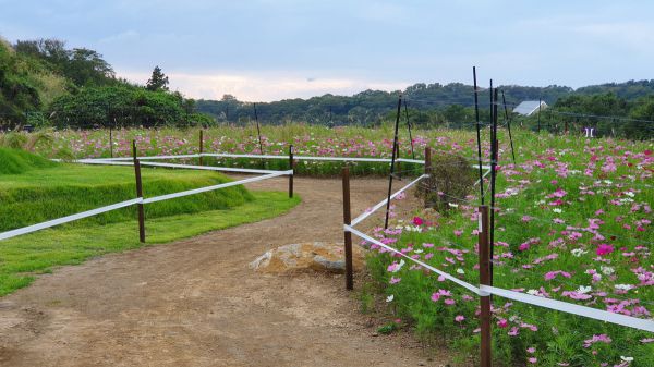 Olympijský okruh Tokio