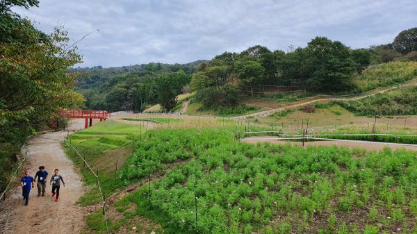 Olympijský okruh Tokio