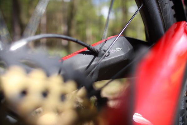 Marin Wolf Ridge PRO