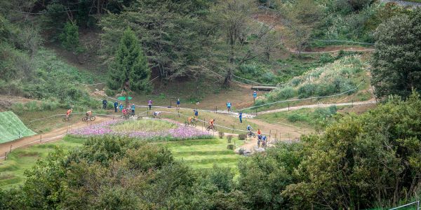 Test Race Tokio 2019