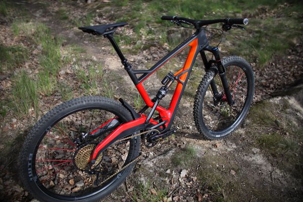 Marin Wolf Ridge PRO