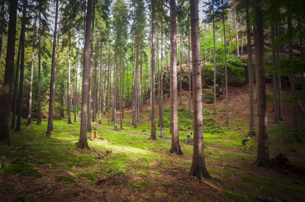 Kolo pro život #15 - Ralsko 2019