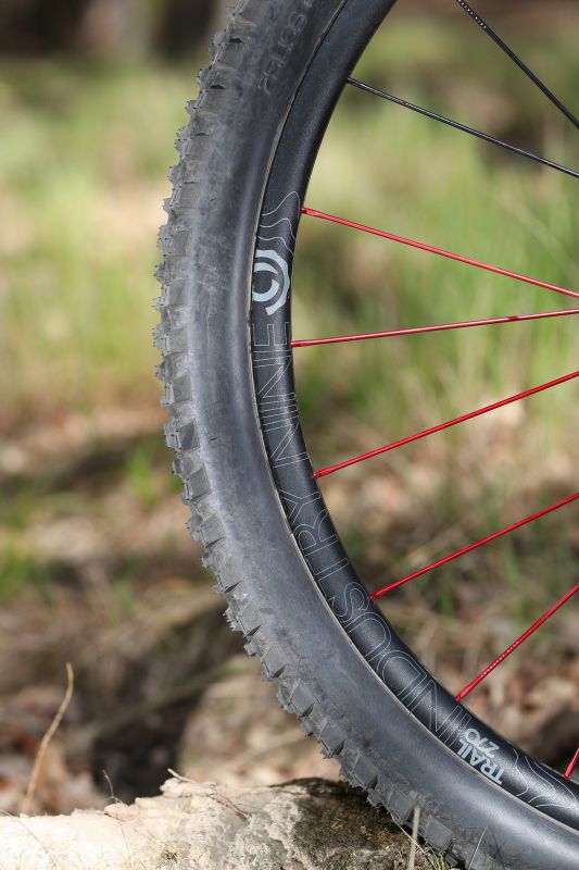 Marin Wolf Ridge PRO