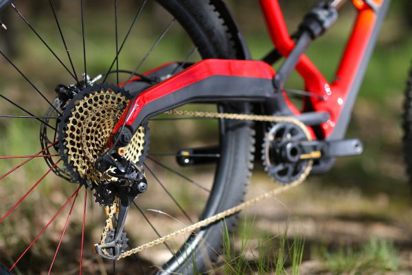 Marin Wolf Ridge PRO