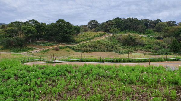 Olympijský okruh Tokio