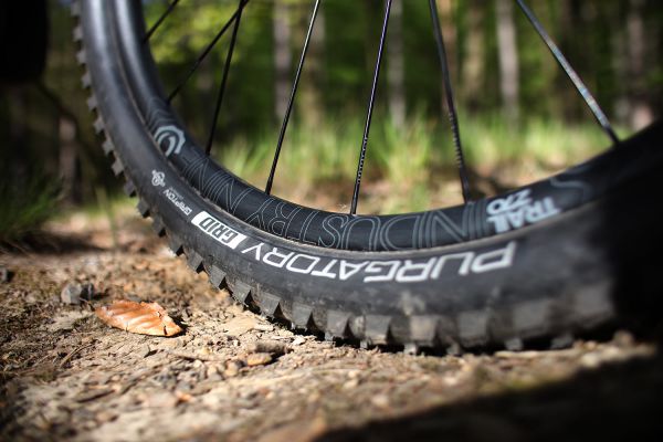 Marin Wolf Ridge PRO