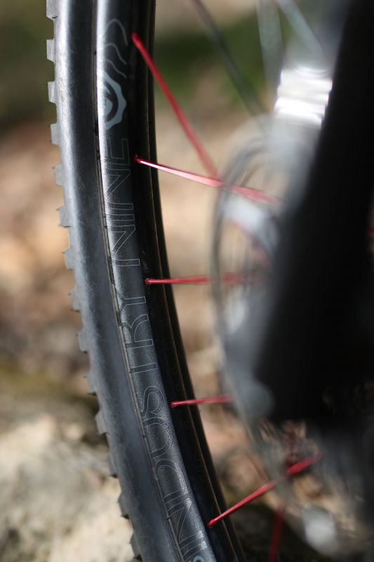 Marin Wolf Ridge PRO