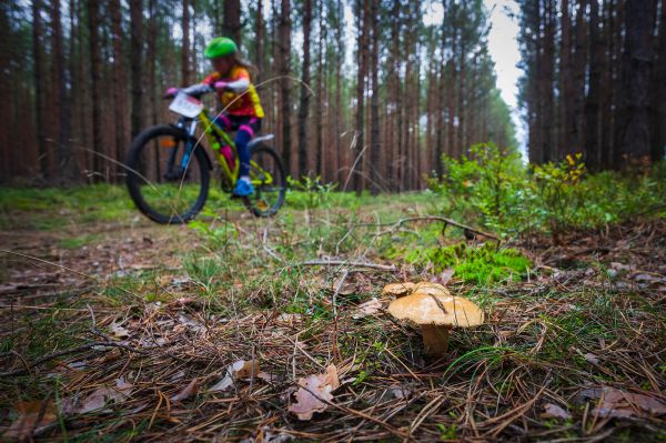 Kolo pro život #15 - Ralsko 2019